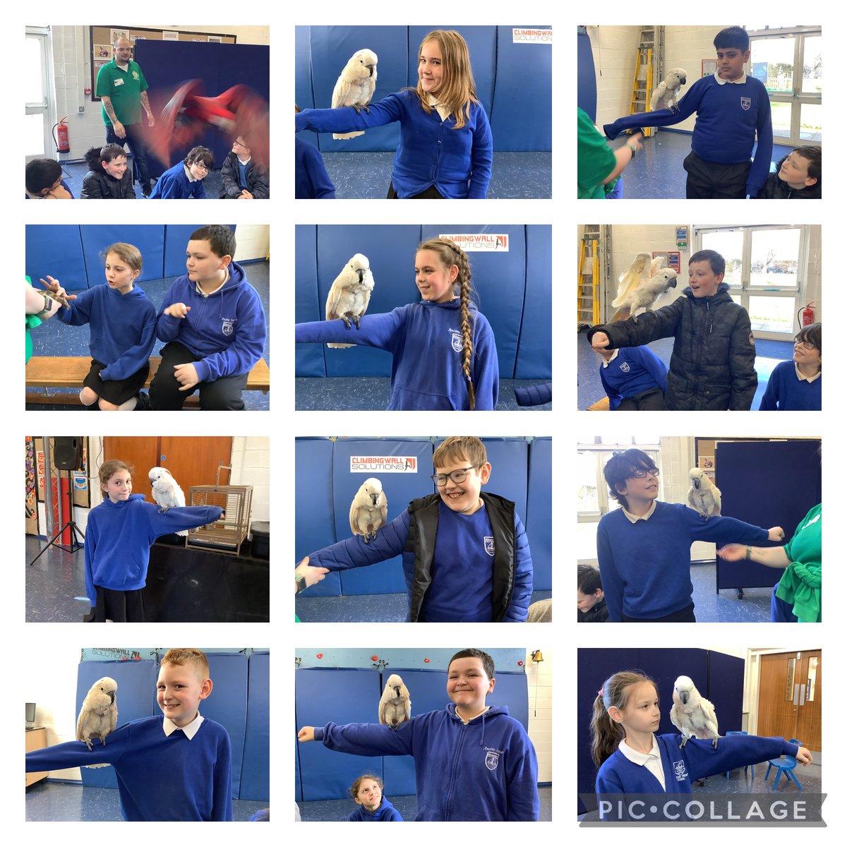 RPS_Kingfishers's tweet photo. A-Z of animals ! What an amazing experience! https://t.co/jATSvNyLzR