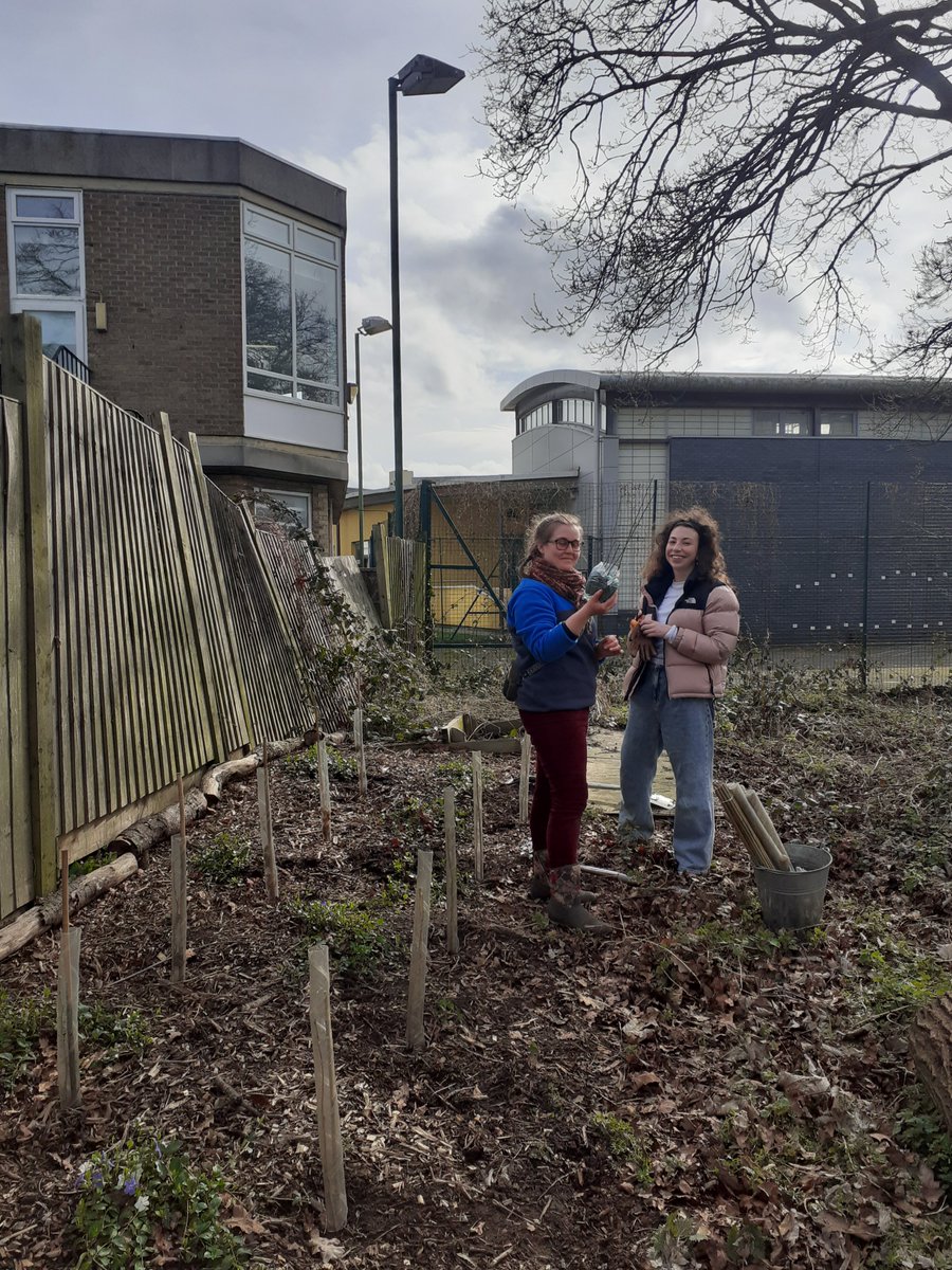 University of Roehampton Hedgehog Friendly Campus tweet media