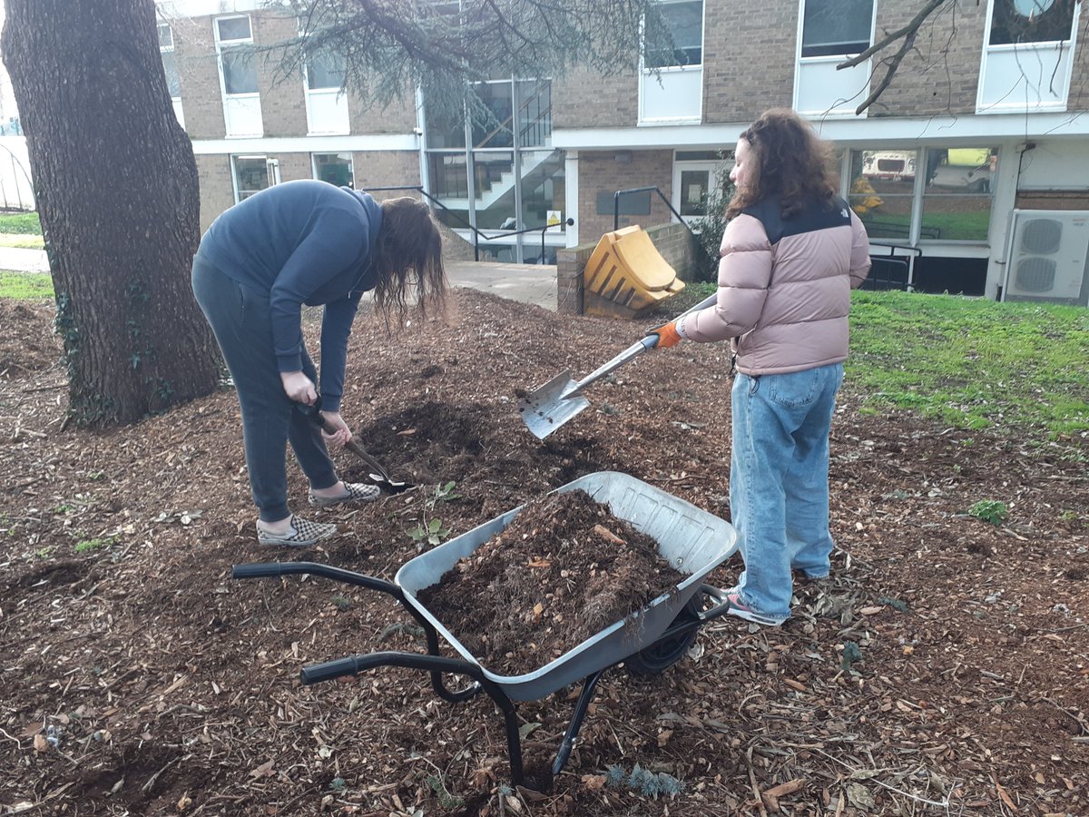University of Roehampton Hedgehog Friendly Campus tweet media