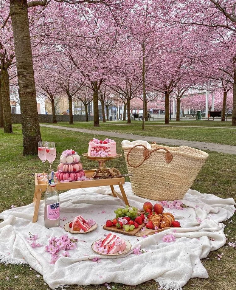 piinkibun's tweet photo. picnic <3 https://t.co/ULg8XVw4pa