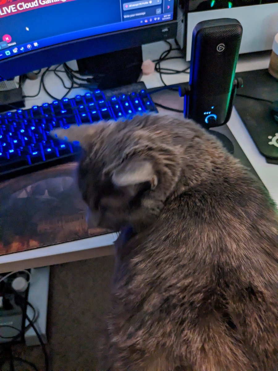 SQUiDzzzGAMING's tweet photo. Love my catzzz hehe Posie and Zona! #streamercats @GoogleStadia @amazonluna @killerqueenblk they say hello! ๐๐๐พ๐พ https://t.co/0UJuvtoTTQ