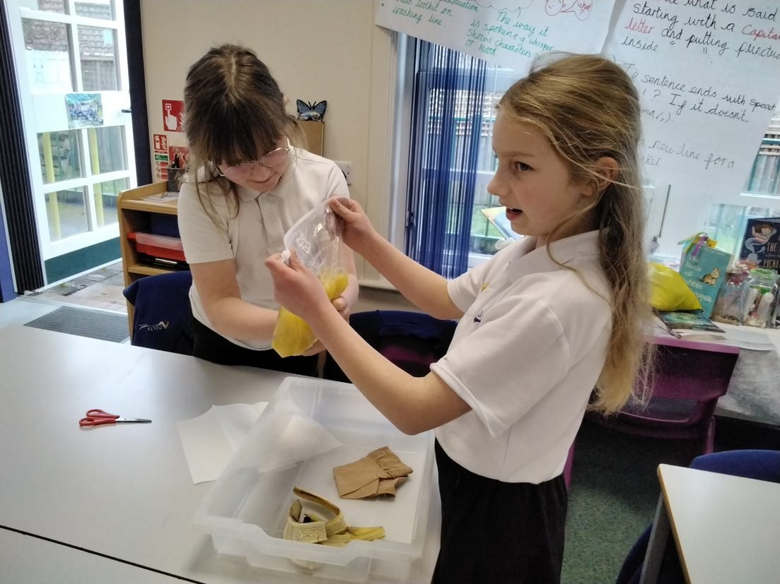 DeltaWorlaby's tweet photo. In their science lesson, Rowling Class consolidated their understanding of the workings of the digestive system. They thoroughly enjoyed replicating the process using a bag (stomach) and tights (small intestine). Look at their faces! #WorlabyScience https://t.co/z0899ZzR4I