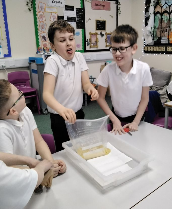 DeltaWorlaby's tweet photo. In their science lesson, Rowling Class consolidated their understanding of the workings of the digestive system. They thoroughly enjoyed replicating the process using a bag (stomach) and tights (small intestine). Look at their faces! #WorlabyScience https://t.co/z0899ZzR4I