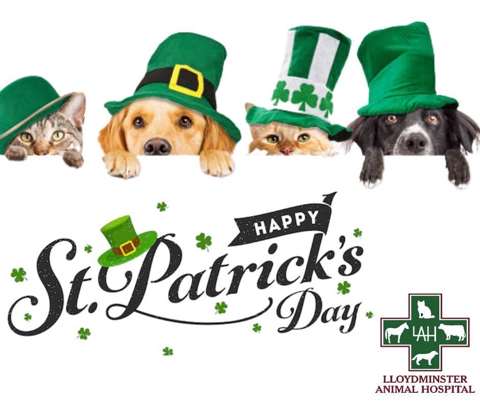 Happy St Patrick's Day!