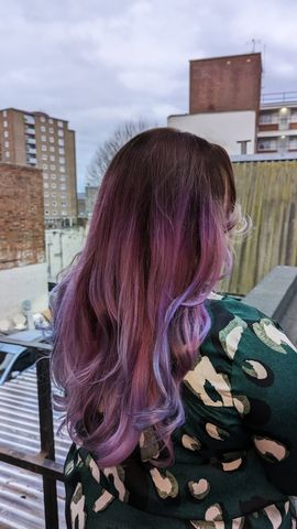 Knight & Wilson tweet media