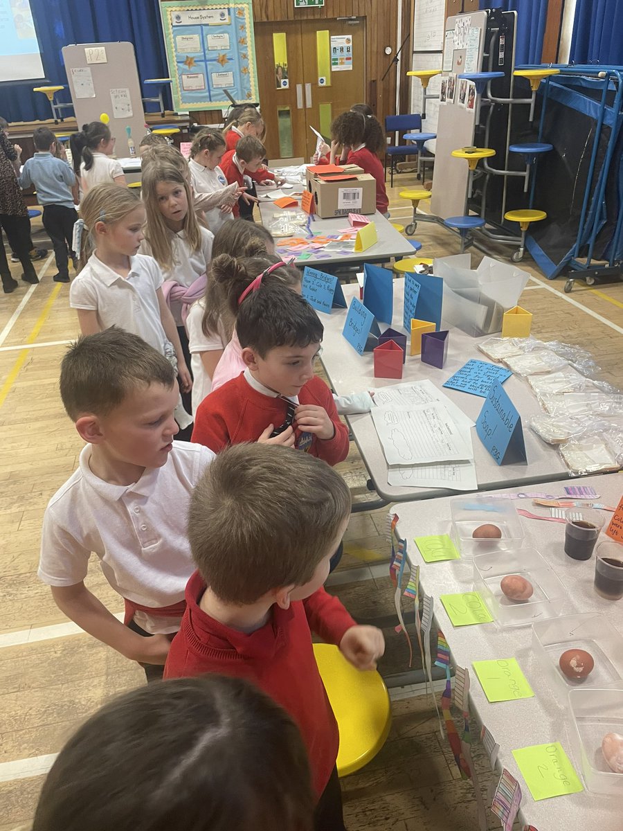 BowhouseP32's tweet photo. Science Fair 2023 🔭🧪🥼👩‍🔬🧑‍🔬 #BritishScienceWeek https://t.co/tZVaTEIR7p