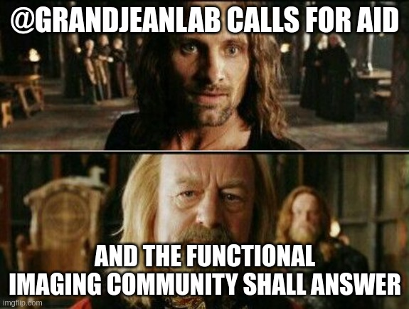 I've been sending tons to emails today asking for awake 🐭 functional 🧲 or 🎙️ datasets. 
If you haven't gotten your email, get in touch!!!
#awakerodent #multicenter