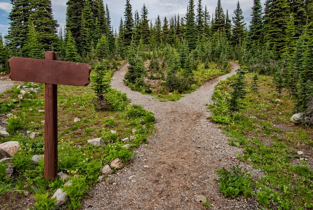Creating #pathways for #Indigenouspeoples to access and succeed in professional and white-collar careers is important for addressing the current lack of representation. It can also help foster economic growth and prosperity within #Indigenouscommunities.