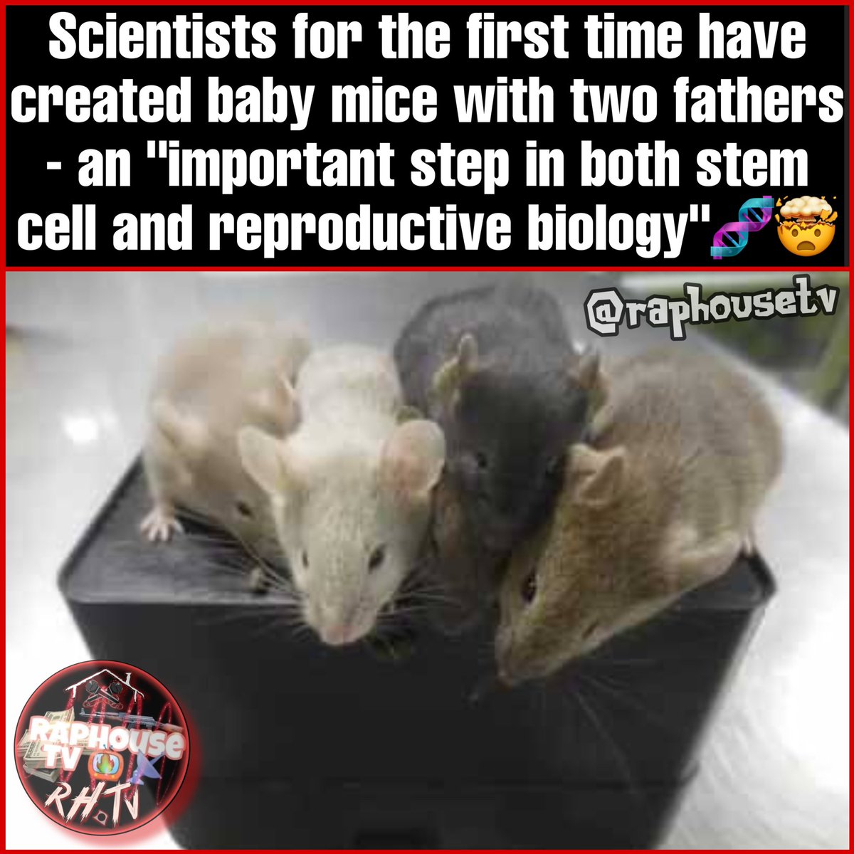 Raphousetv (RHTV) on Twitter "Scientists for the first time have