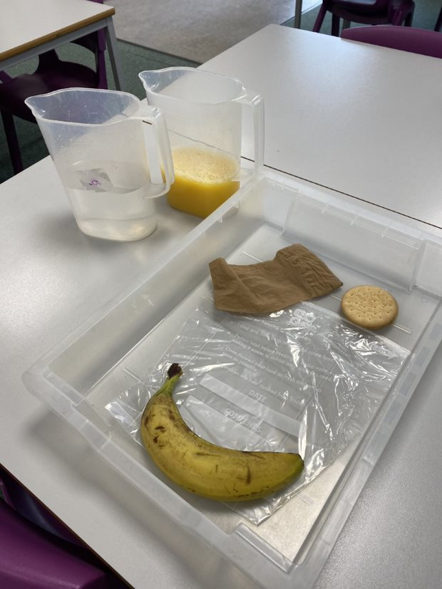 DeltaWorlaby's tweet photo. In their science lesson, Rowling Class consolidated their understanding of the workings of the digestive system. They thoroughly enjoyed replicating the process using a bag (stomach) and tights (small intestine). Look at their faces! #WorlabyScience https://t.co/z0899ZzR4I