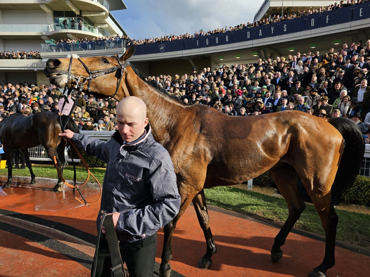 Brave in defeat, amazing performance, very proud, beaten by an aeroplane