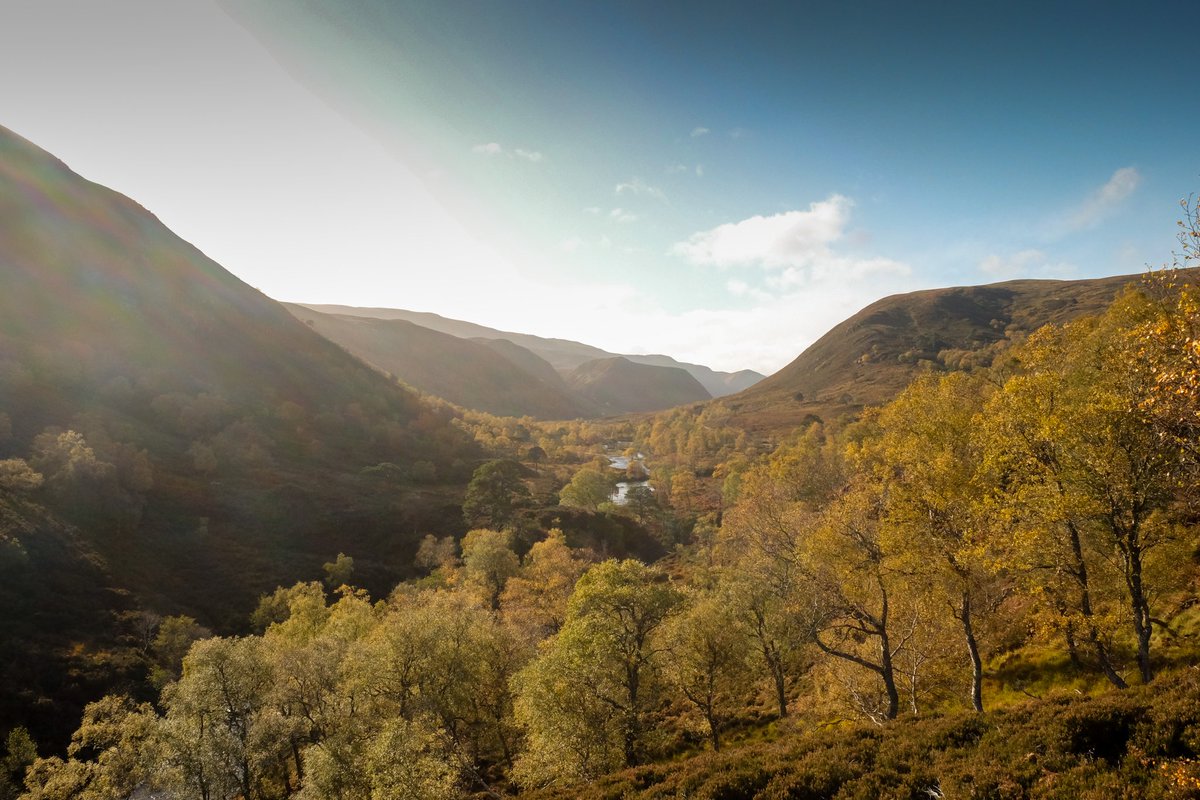 Hannah Kirkland tweet media