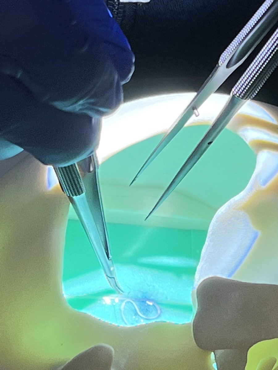 Matt Bender tweet media