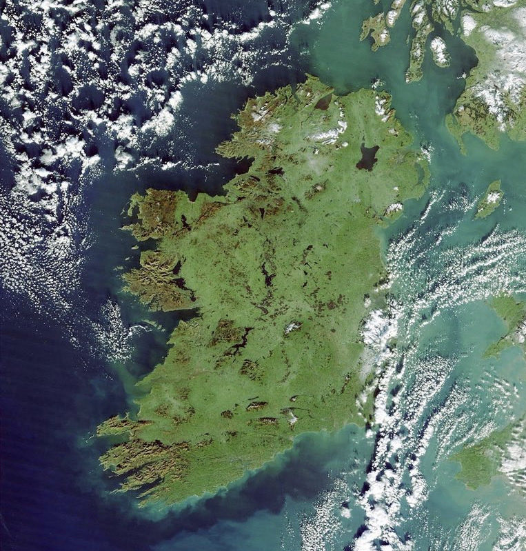 Don’t just wear it, plant it. Ireland is the least forested country in Europe. We need more green fingers and less leprechauns.