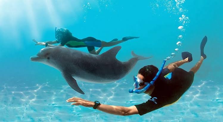AfricaFactsZone's tweet photo. Egypt has generated $4.1 billion from tourism in the first 3 months of 2023.

11.7 million tourists visited Egypt in 2022.

Egypt generated $9 billion from 8 million tourists in 2021, $4 billion from 3.7 million tourists in 2020, $13 billion from 13 million tourists in 2019. https://t.co/1CJs4bSQgP
