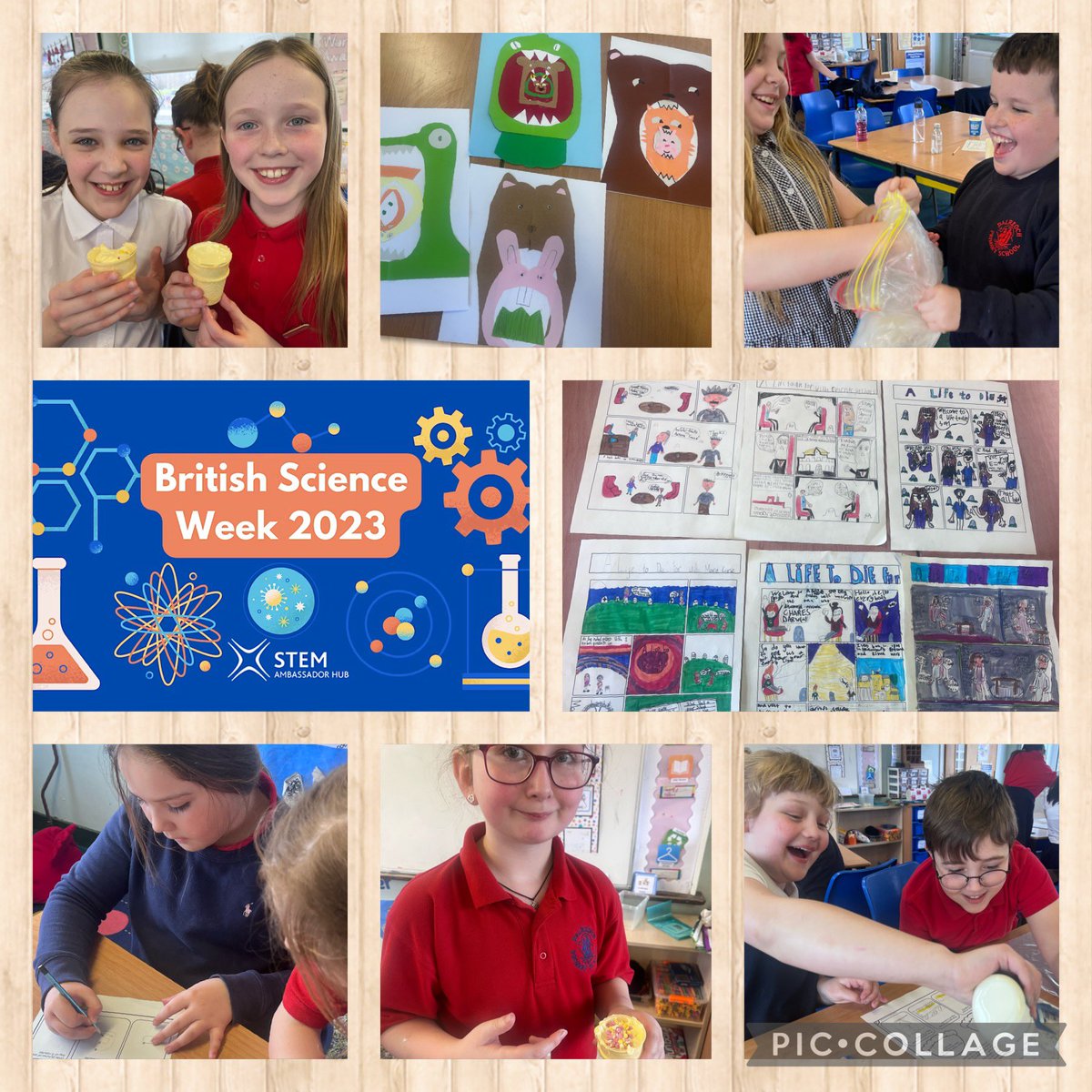 Dalreoch Primary & ELCC tweet media