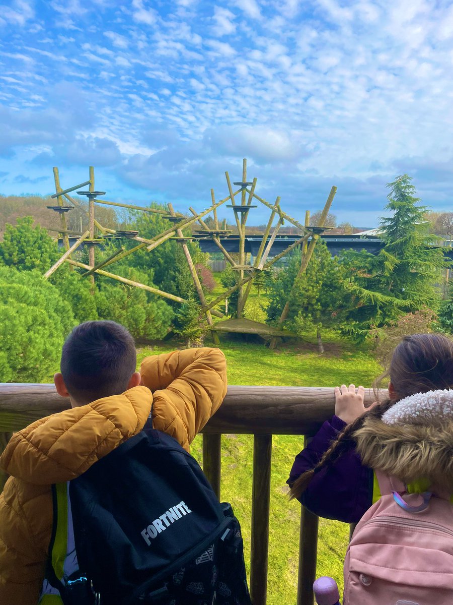 Trying to spot the leopard 🐆 <a href="/BramleyJunior/">Bramley Sunnyside Junior School</a>