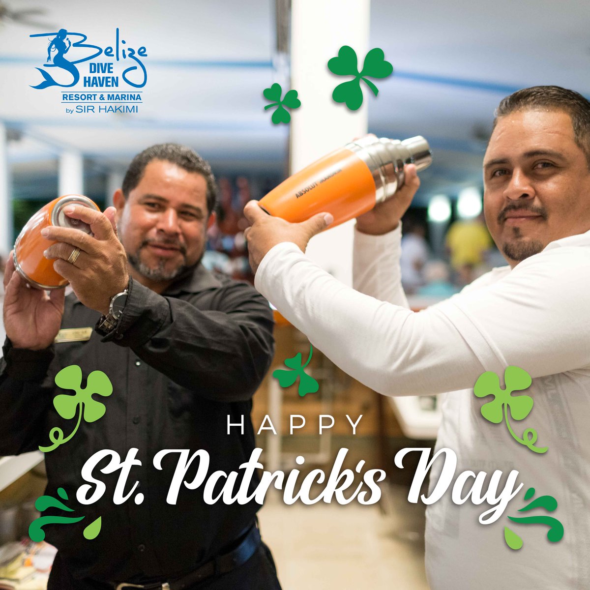 Belize Dive Haven tweet media
