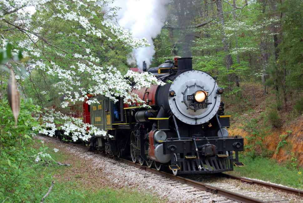 Make your way to Palestine this weekend for the Dogwood Festival on Sat., Mar. 18 from 9:00 AM to 4:00 PM. While there, take the Texas State Railroad Dogwood Lunch Train and savor the flavor and the sights of East Texas (leaves at 11:00 AM). @palestinetx

📸 by Visit Palestine