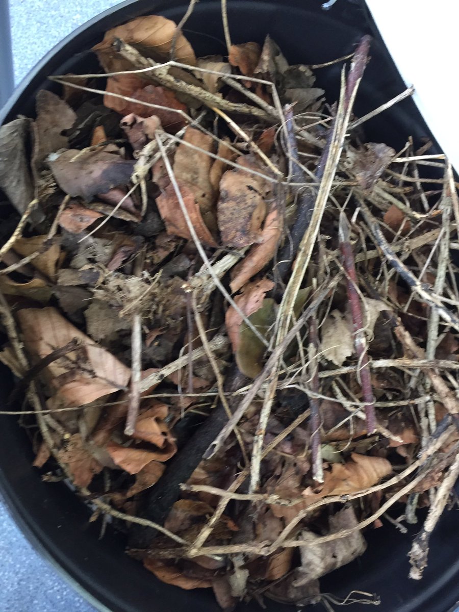 Jon Hale tweet media