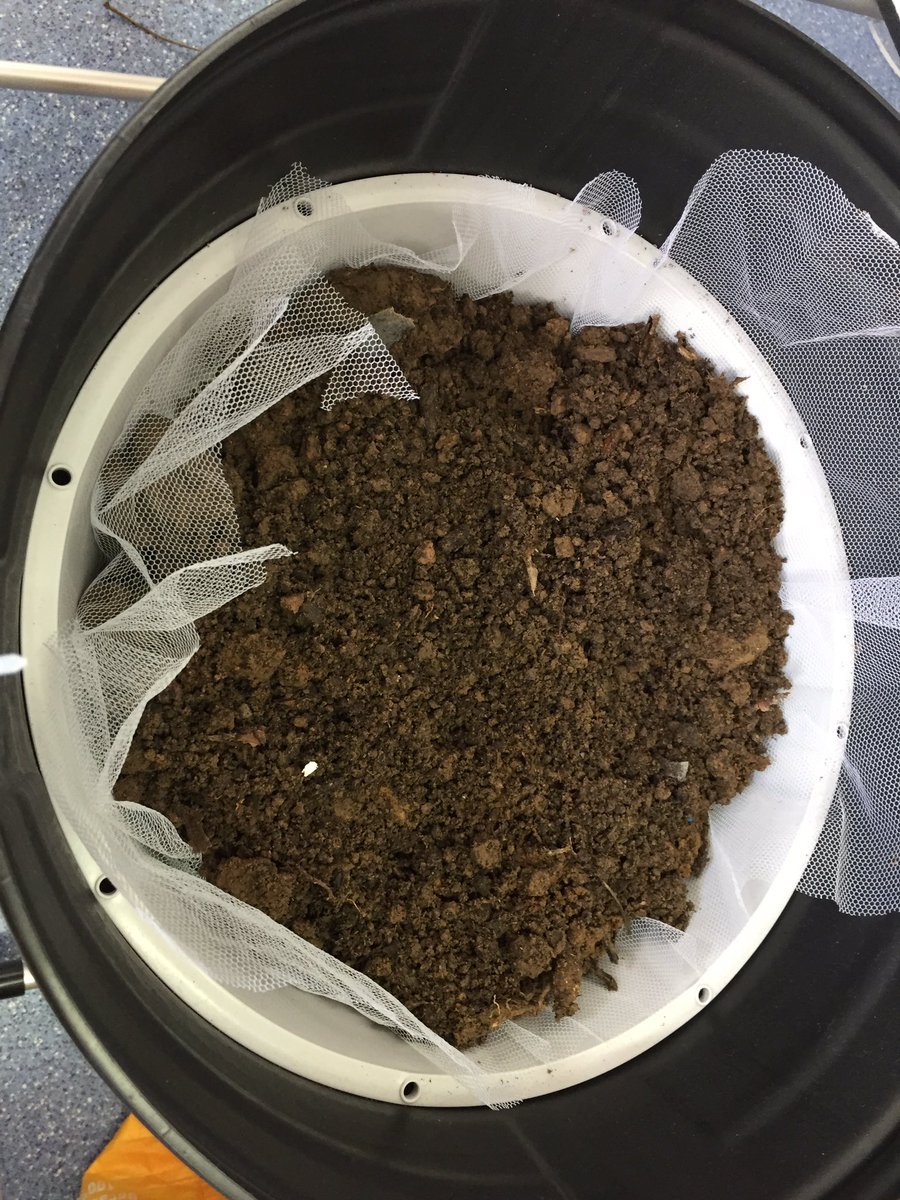 Jon Hale tweet media