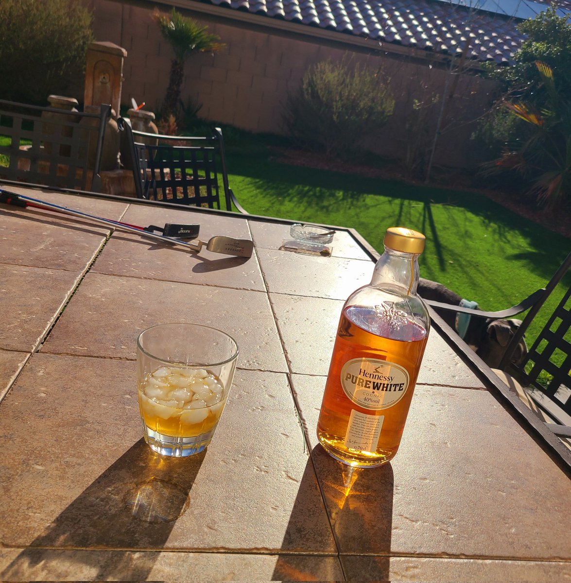 Rollo Tomasi tweet media