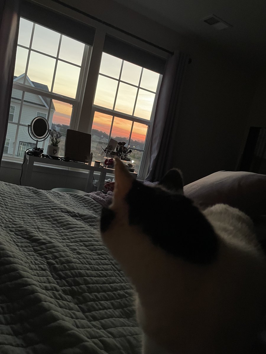 My cat (Marshmallow) watched the sunrise this morning #cnusocialmedia