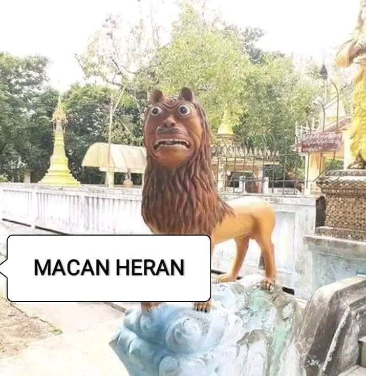 Macan apa ???😄