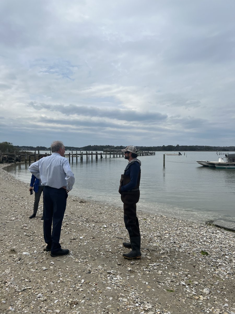 Senator Tim Kaine tweet media