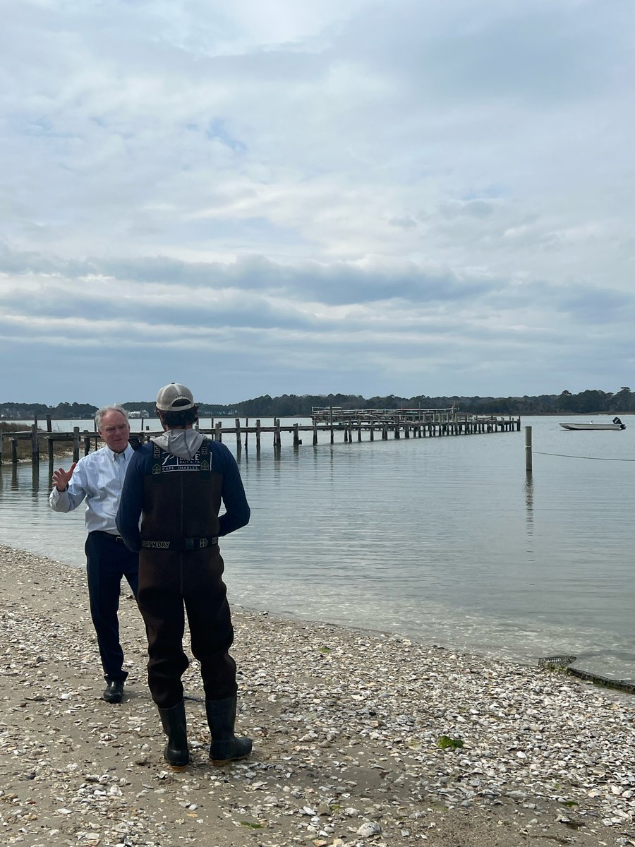 Senator Tim Kaine tweet media