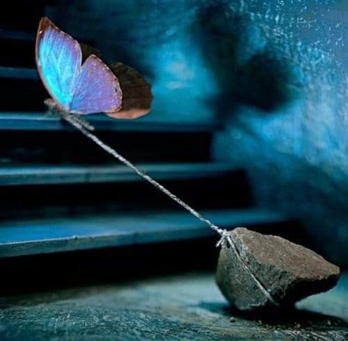 __Red_Hood__K's tweet photo. Una relazione tossica la riconosci quando, dal lovebombing, passa a farti percepire ogni tuo impegno quotidiano come colpa e disattenzione verso di lui/lei, facendoti sentire sbagliat*, inadeguato* e pesante, mentre l'unico peso di cui dovresti liberarti è chi ti fa sentire così https://t.co/QIJLcU34jI