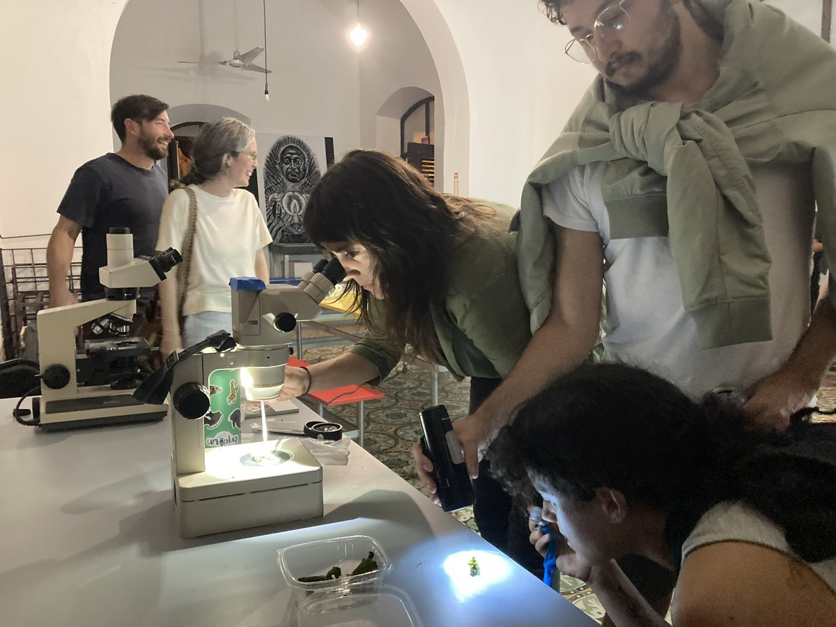 AmeliaMerced's tweet photo. Mixing art and science. An exploration and conversation about bryophytes and Puerto Rican culture. We had a great time talking about bryophytes and our relationship to them.
#STEAM #cienciaPR #BetaLocal #briofitasPR https://t.co/NdTgPDFn0a