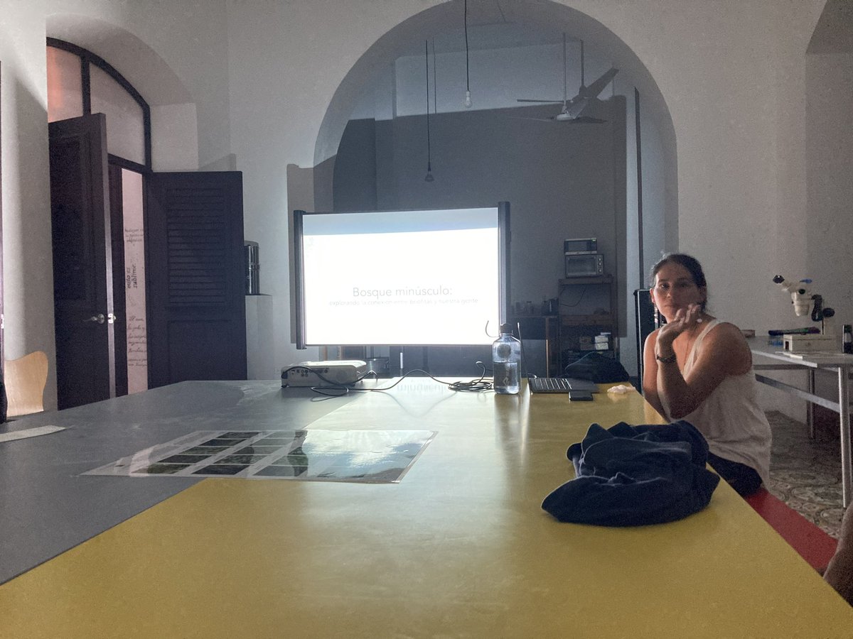 AmeliaMerced's tweet photo. Mixing art and science. An exploration and conversation about bryophytes and Puerto Rican culture. We had a great time talking about bryophytes and our relationship to them.
#STEAM #cienciaPR #BetaLocal #briofitasPR https://t.co/NdTgPDFn0a