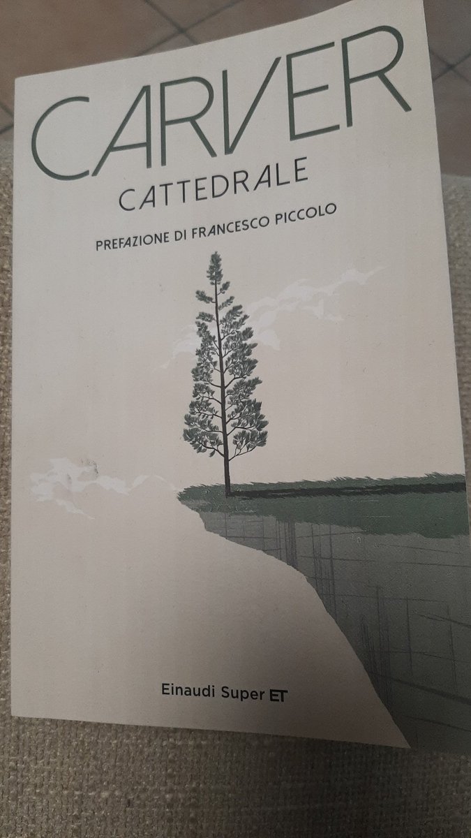 È vero, come scrive Piccolo nella prefazione, che nei racconti di Carver non succede niente, tutto è già successo o deve ancora accadere. Ma dentro c'è tutta la vita con le sue mille sfaccettature. Piccoli gioielli da assaporare lentamente ❤
