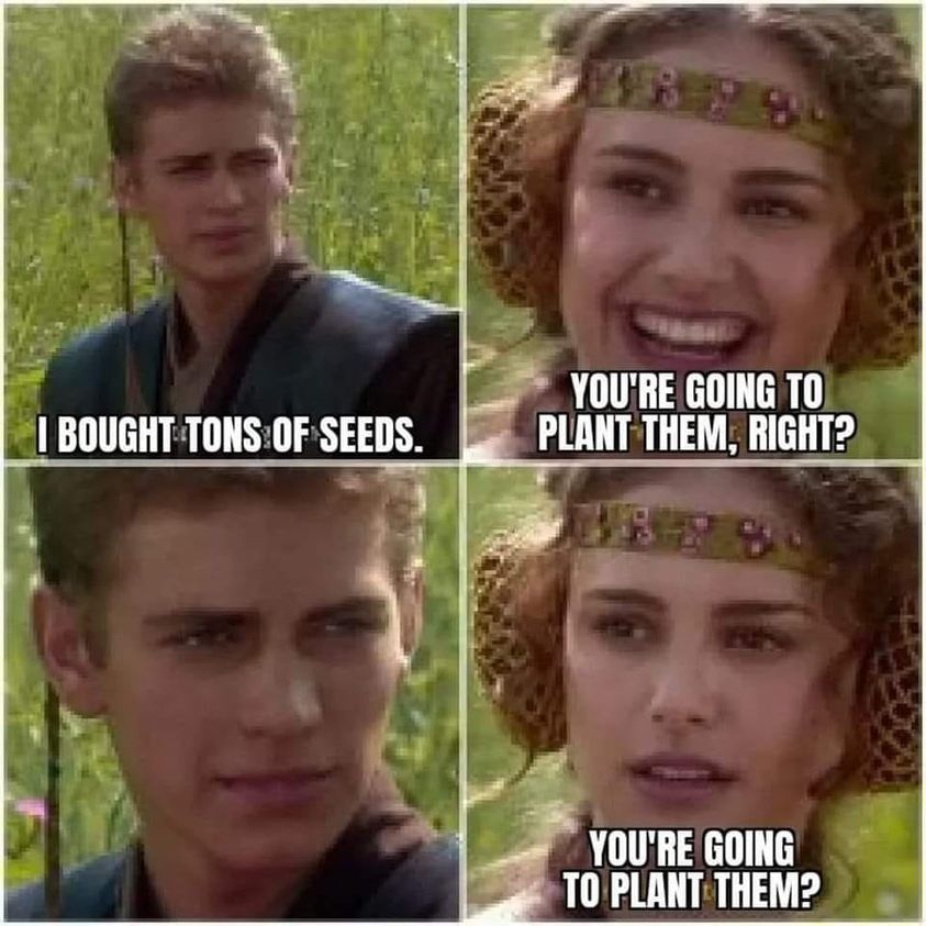 Fitleaf1's tweet photo. We are doing our best🤣 drop a like if you can relate! #gardening #vegetablegarden #growfood https://t.co/63y4TkhS5q