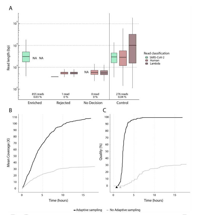 MATerrazos's tweet photo. Excited to share our latest paper from Ramette's lab about the novel #NASCarD technique to recover viral genomes from metagenomic samples using #ONT Adaptive Sampling.
#viralgenomics #metagenomics #adaptivesampling #oxfordnanopore @CDC_NCEZID @unibern
https://t.co/HNkQAqjXlf https://t.co/UhirdWQAgJ
