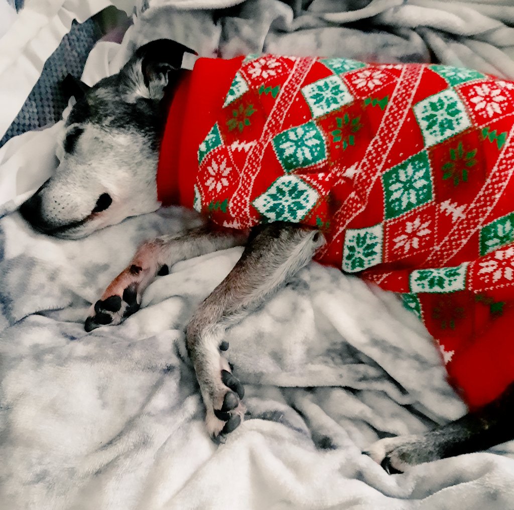 Christine Bore 💙 tweet media