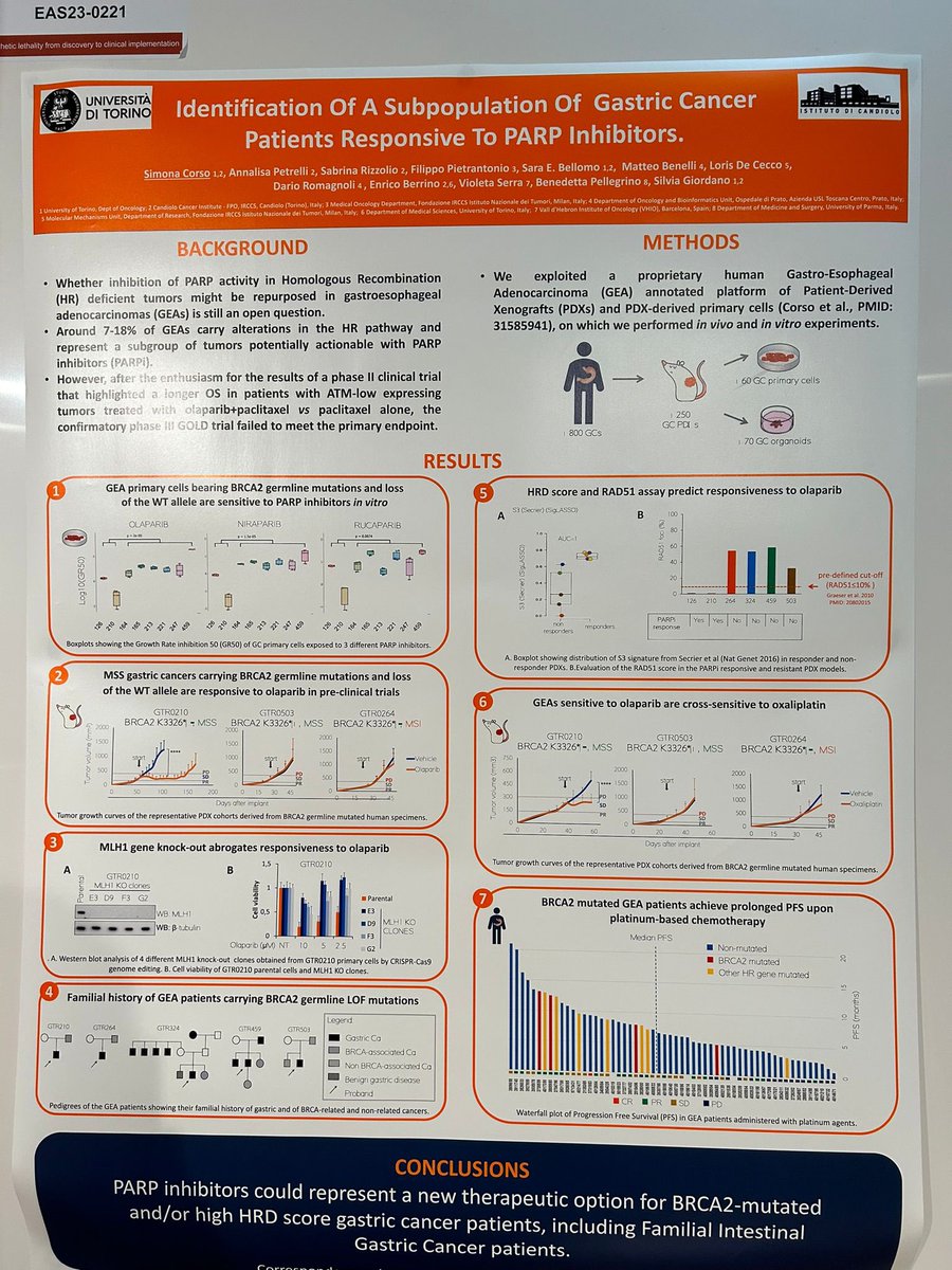 Rad51 assay identifies HRD OvC and Gastric Cancer and reveals a subgroup of breast cancer patients which activates STING pathway #EASImmuneResponses