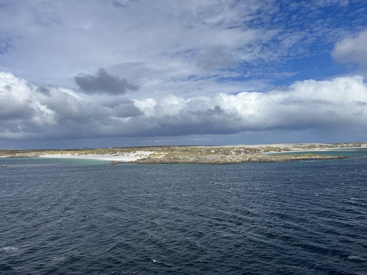 After dealing with the roughest seas I’ve ever experienced in the Drake Passage, we are back in the Falklands! I’m still processing so many of the amazing things we’ve seen and achieved this trip #SDAScience