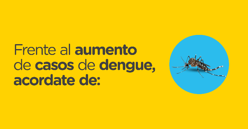 gcba's tweet photo. Te dejamos algunas recomendaciones para cuidarte del dengue 👇

Juntos podemos prevenir su transmisión💪 Conocé más información haciendo clic debajo de las imágenes.