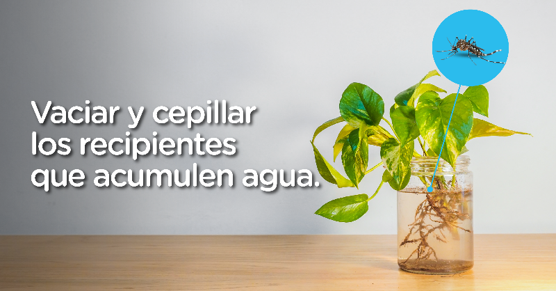 gcba's tweet photo. Te dejamos algunas recomendaciones para cuidarte del dengue 👇

Juntos podemos prevenir su transmisión💪 Conocé más información haciendo clic debajo de las imágenes.
