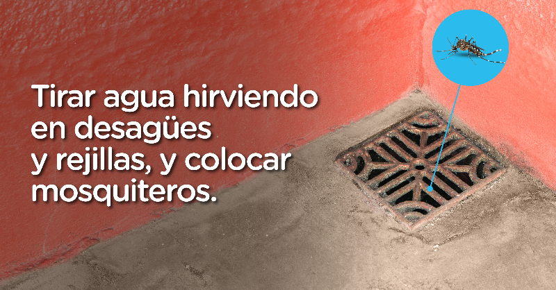 gcba's tweet photo. Te dejamos algunas recomendaciones para cuidarte del dengue 👇

Juntos podemos prevenir su transmisión💪 Conocé más información haciendo clic debajo de las imágenes.
