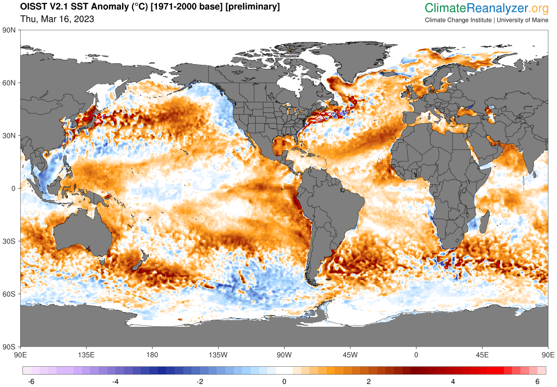 Colin McCarthy tweet media