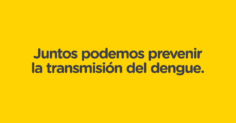 gcba's tweet photo. Te dejamos algunas recomendaciones para cuidarte del dengue 👇

Juntos podemos prevenir su transmisión💪 Conocé más información haciendo clic debajo de las imágenes.