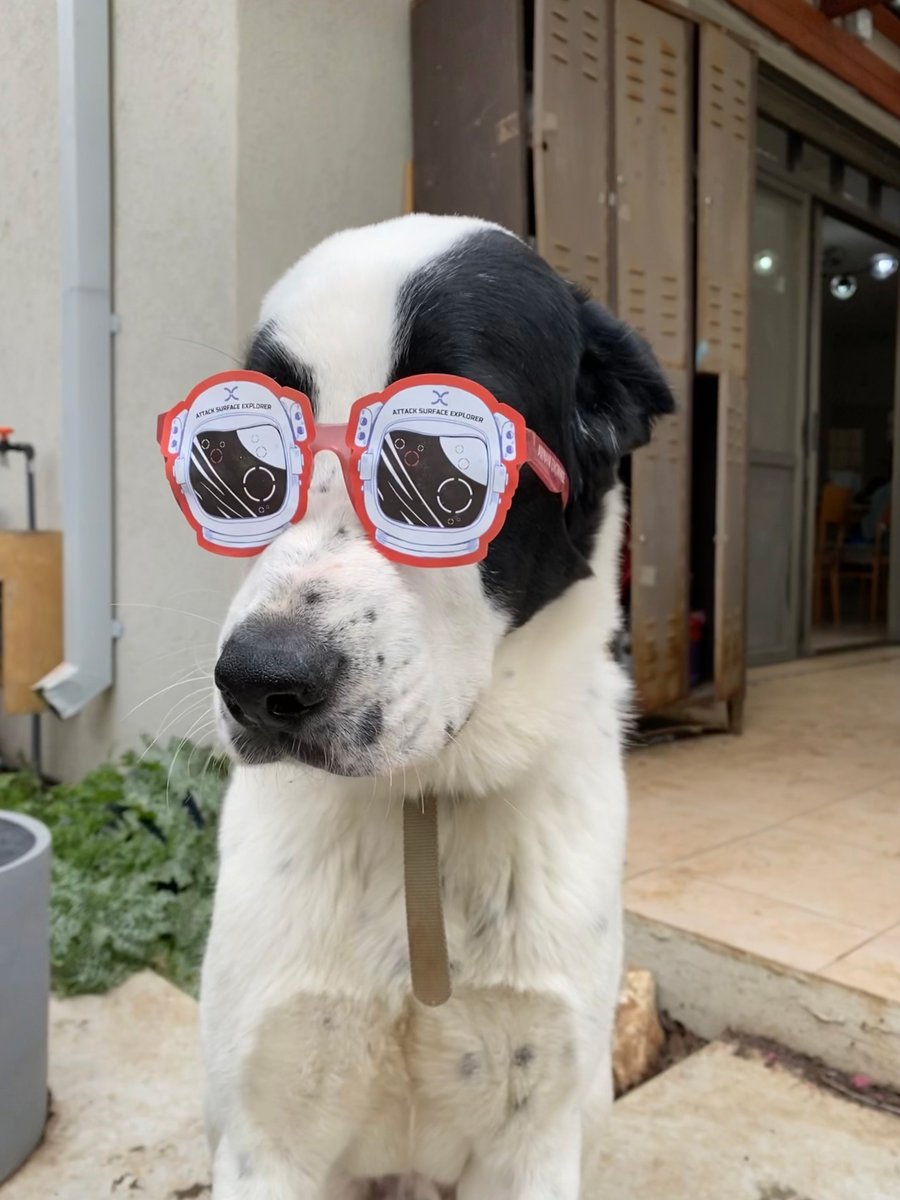 IONIX_io's tweet photo. When it comes to cybersecurity, you need to look everywhere. That’s why your kids, even your furry friends feel confident knowing our ASM platform has your back! #InTheWild #EyeOnX #ConnectiveIntelligence #Cybersecurity https://t.co/n3SMRKHGEl