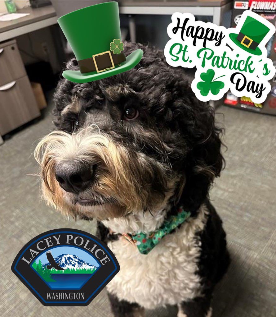 LaceyPolice's tweet photo. It's #StPatricksDay ๐ & Trip wants to remind you that if you are going to drink tonight, make sure that you have a #SoberDriver! ๐ซ๐ป๐You guys are great, but we'd rather meet you on better terms than a #DUI stop! ๐ #DontDrinkAndDrive #DrinkResponsibly #TripsTips #LaceyPD https://t.co/ecO7R3JEMu