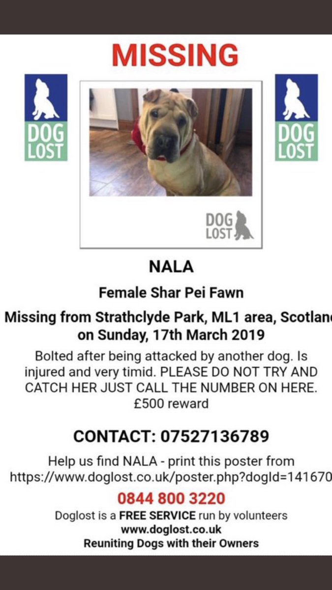 Go back to #2019 #StPatricksday #StrathclydePark #ML 1 #Scotland . Did you see anything ? #FourYears #HelpFindNala