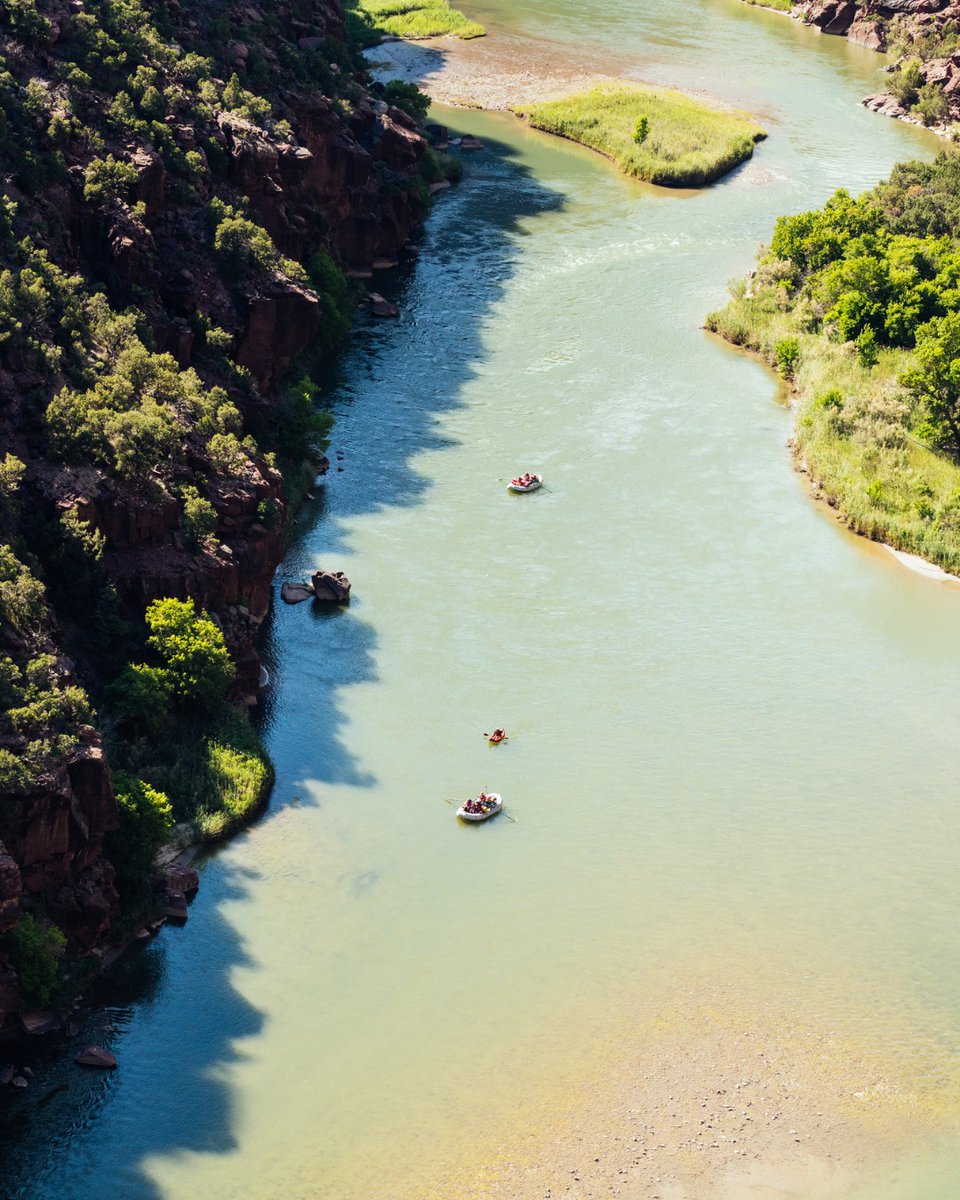 Happy St. Patrick's Day! We're wearing our best Green for the occasion. 😉 📸: Jeremiah Watt ft. #DinosaurNationalMonument