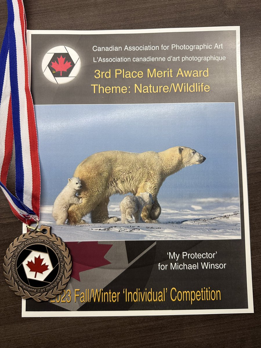 Happy to see a bronze medal show up in the mailbox today from @capacanada. I won this medal for three images I submitted recently into a nature competition.  I also received a 3rd place merit award for this image “My Protector” of a polar bear and her two cubs. :)