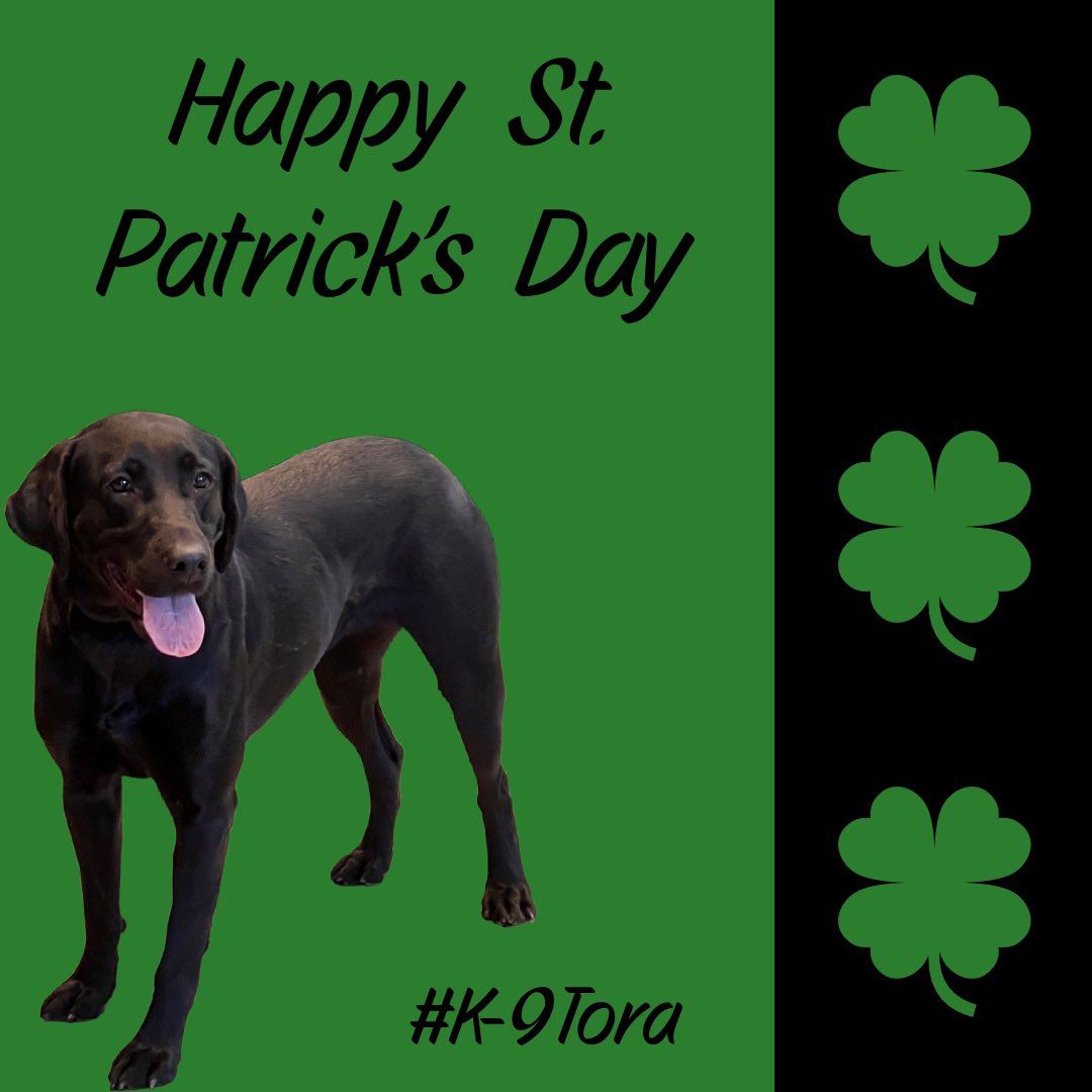 Happy St. Patrick’s Day from K-9 Tora!

#K9Tora💚🐾 
#StPatricksDay2023 
#CelebrateResponsibly 
#StPaddysDay #DontDrinkAndDrive #LabradorK9 #K9Unit #BeSmartBeSafe 
#StPatrickDay